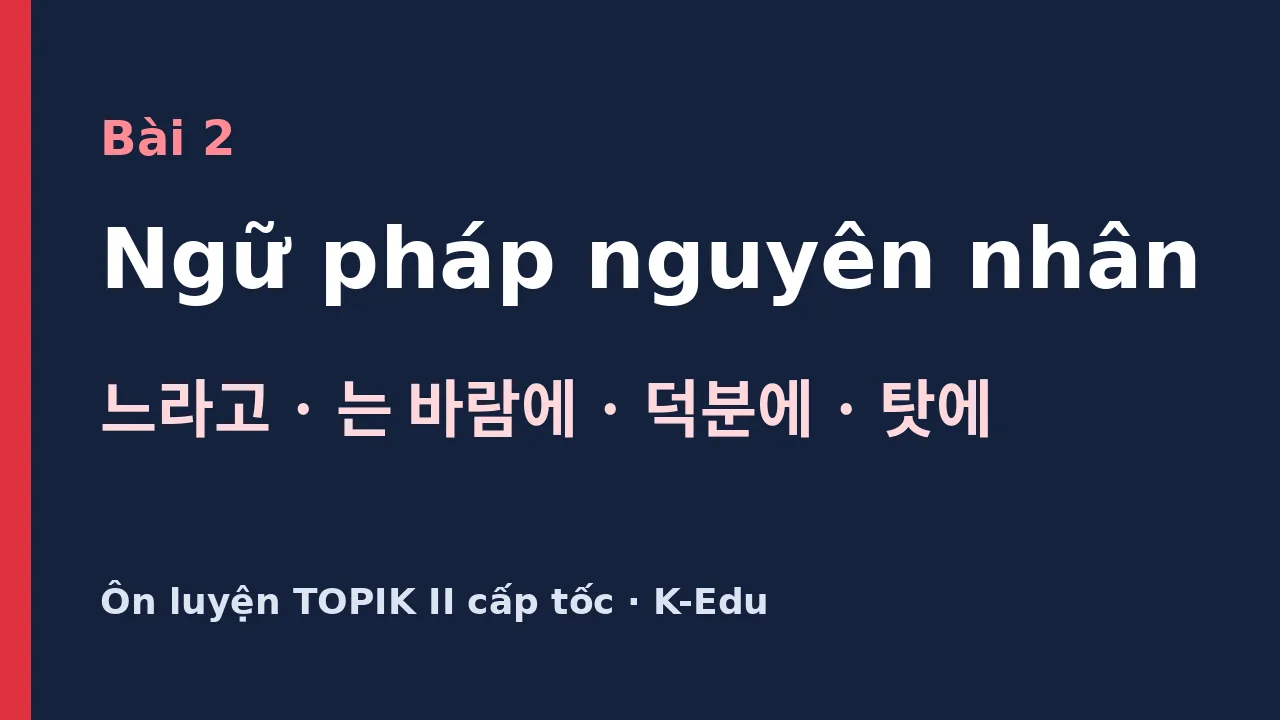 Ngữ pháp nguyên nhân ôn luyện TOPIK II: 느라고, 는 바람에, 덕분에, 탓에